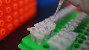 Program for Advanced Materials and Substances of Emerging Environmental Concern (AMSEEC)