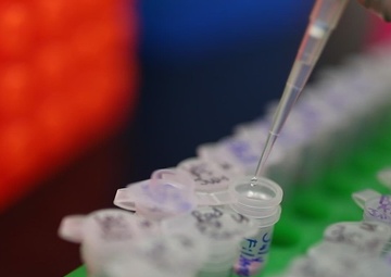 Program for Advanced Materials and Substances of Emerging Environmental Concern (AMSEEC)