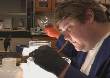 AMSEEC Effects Assessment Pillar