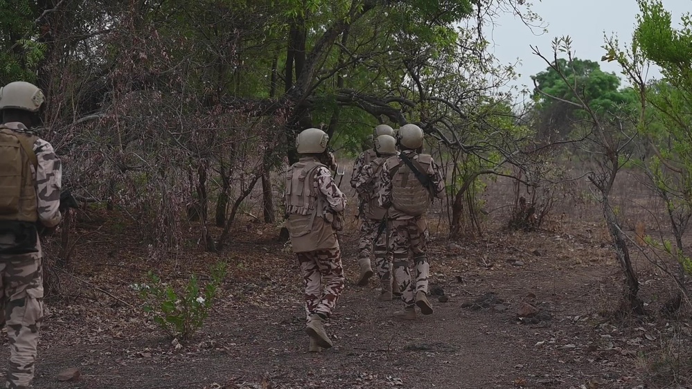 DVIDS - Video - Cameroon, Chad conduct patrol and KLE training