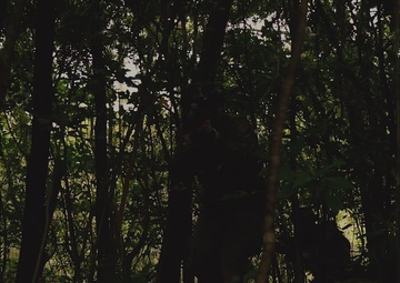 JWX 23: Closing the Kill Web