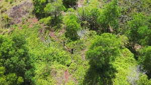U.S. Coast Guard, Guam Fire Department conduct rescue hoist training in Guam