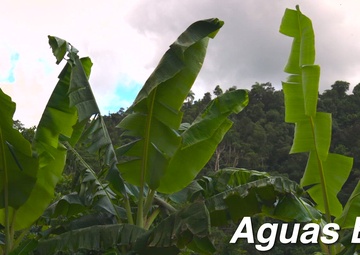 Construction Tour Aguas Buenas Municipality