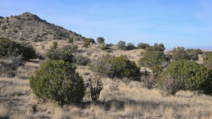 Kirtland Air Force Base Prescribed Burn