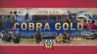 Cobra Gold 23