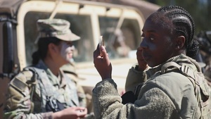 Division Sustainment Troops Battalion holds training exercise to hone skills, readiness
