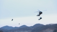 1-17 Infantry Air Assault at TBTA