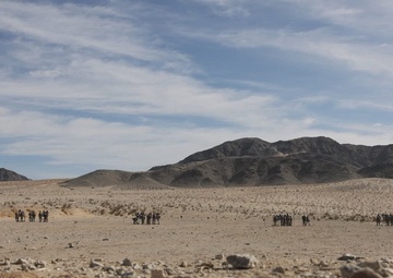 Teaser: &quot;War Dogs&quot; trained, evaluated as designated marksmen