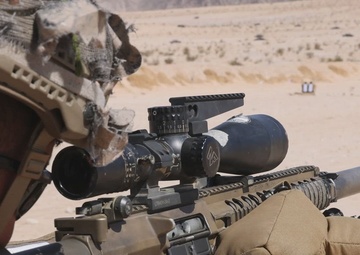 &quot;War Dogs&quot; trained, evaluated as designated marksmen