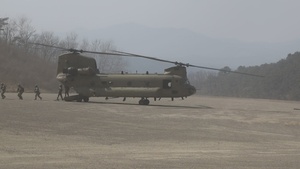 Field Artillery Insertion