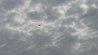 Warrior Shield: A-10 supports 2ID/RUCD Live Fire