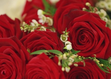 10th AAMDC Change of Charter