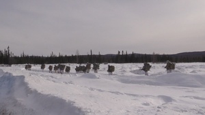 11th Airborne Division Soldiers set up base during JPMRC-AK 23-02