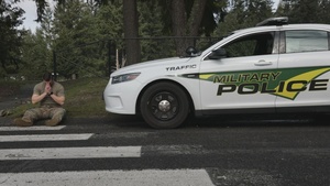 Crosswalk: Right of Way