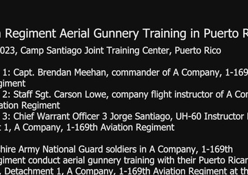 Aviation Regiment Aerial Gunnery Training in Puerto Rico