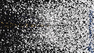 Women's History Month with Lt General Nina Armagno