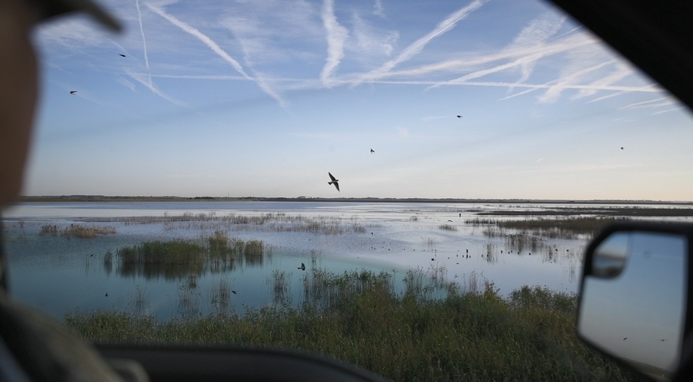 View of DVIDS - Video - Building Bird Habitats