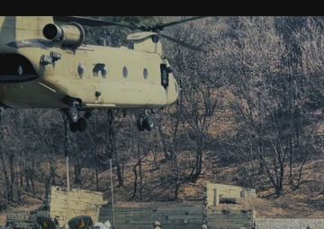 Warrior Shield: Be All You Can Be