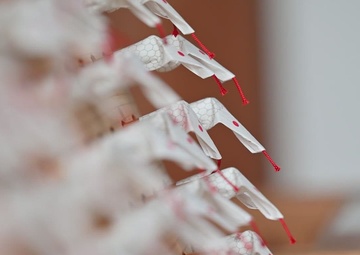 Pacific Passport: Iwakuni Shirohebi Shrine