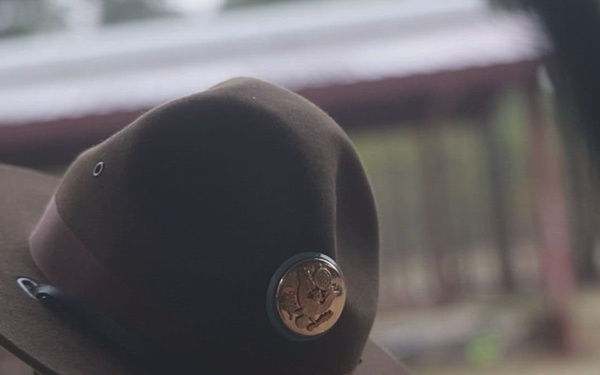 Do you want to become a drill sergeant?