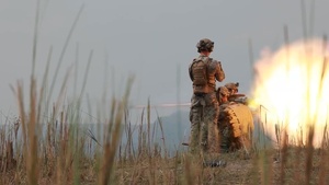Balikatan 23 | 3d LCT Marines conduct live-fire range