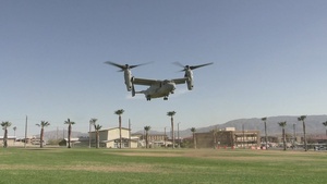 3/7 conducts a non-combatant evacuation operation exercise