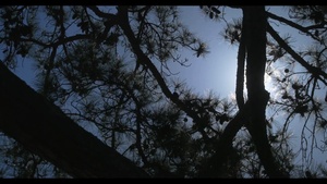 Broad Bay - Virginia Beach - B-Roll