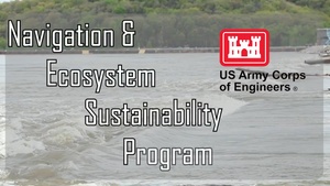 Navigation and Ecosystem Sustainability Program (NESP) – Lock and Dam 22 Fish Passage Project