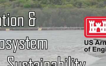 Navigation and Ecosystem Sustainability Program (NESP) – Lock and Dam 22 Fish Passage Project