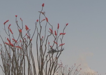 WTI 2-23: UTC Yodaville Maneuver 2