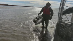 Wallisville Lake Project staff round up derelict crab traps