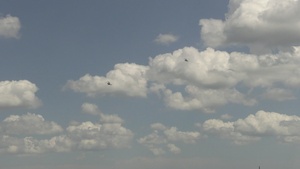 2023 Beaufort Air Show UH-1 Venom And AH-1 Cobra Demo
