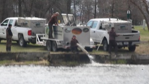 U.S. Fish and Wildlife Service fish hatchery personnel stock fish at Fort McCoy in 2023, Part I