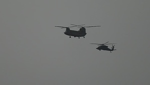 Cobra Gold 2023 - Air Assault
