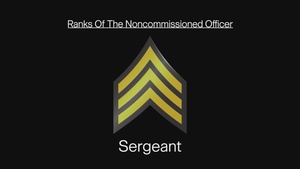 Sergeant: The Noncommissioned Officer Ranks