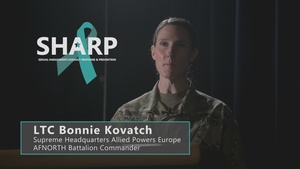 AFNORTH Battalion commander talks SHARP