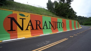 Naranjito Municipality Construction Tour