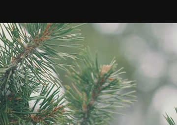 Welcome Aboard MWTC Bridgeport