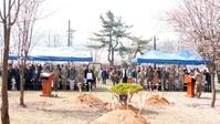 Arbor Day in Camp Casey