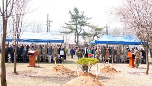 Arbor Day in Camp Casey