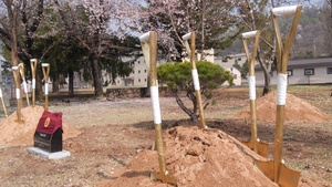 Arbor day in Camp Casey