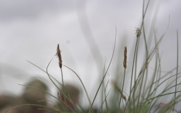 Leading the Charge: Staff Sgt. Christopher Fischer