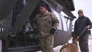 Working Dog B-Roll1