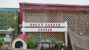 Churan Horse Garden Volunteer Event (clean)