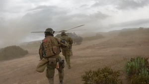 Exercise Noble Jump 23: German, Dutch, Norwegian Troops Train on NH90 Helicopters