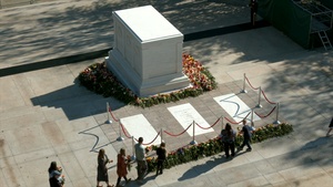 Flowers of Remembrance Day B-Roll 