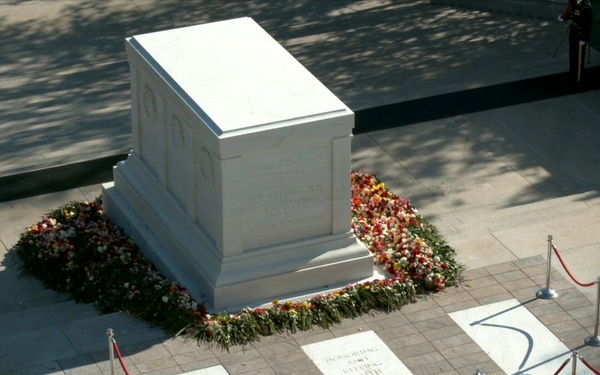 Flowers of Remembrance Day B-Roll 