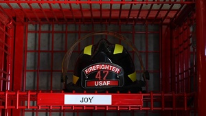 47th Civil Engineering Squadron Fire Flight