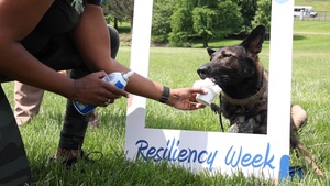 Walter Reed Celebrates Resiliency Week with Walking Wednesday Event