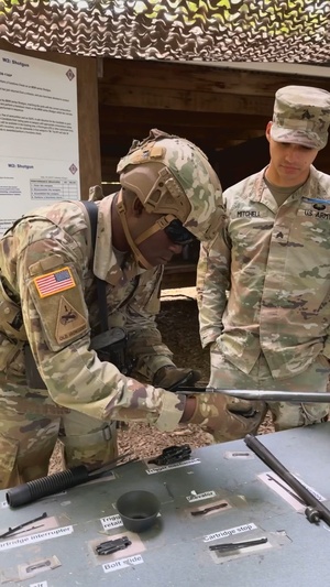 10th Mountain Division ESB 2023